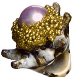 Mesi Jilly Maldives Shell Ring
